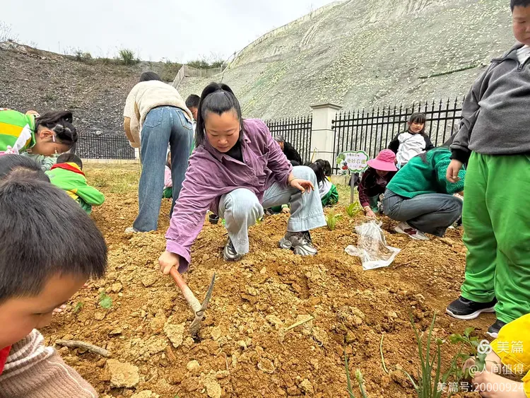 种下一颗种子,播种一片希望